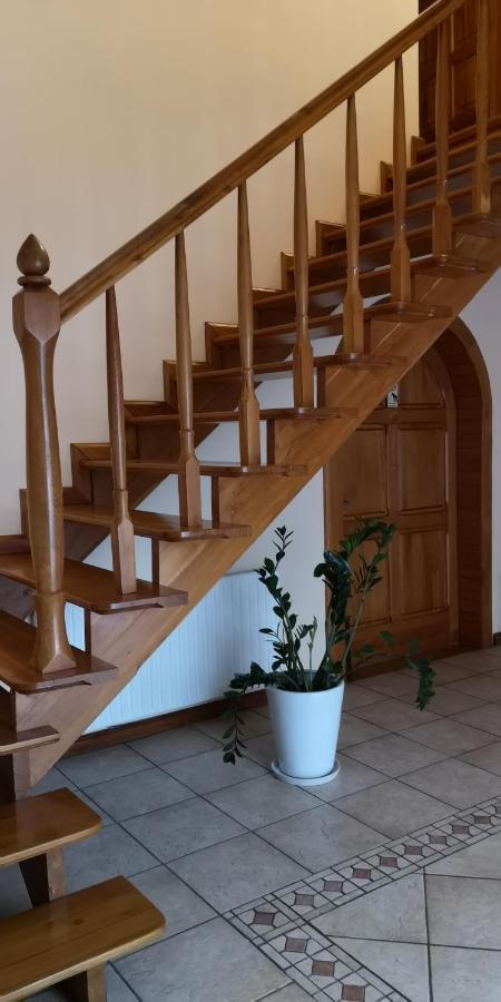 Villa Basia ミエンジズドロイェ エクステリア 写真